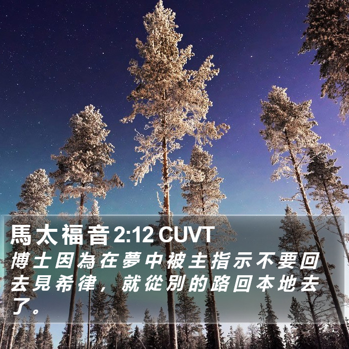 馬 太 福 音 2:12 CUVT Bible Study