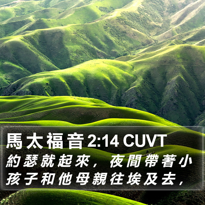 馬 太 福 音 2:14 CUVT Bible Study