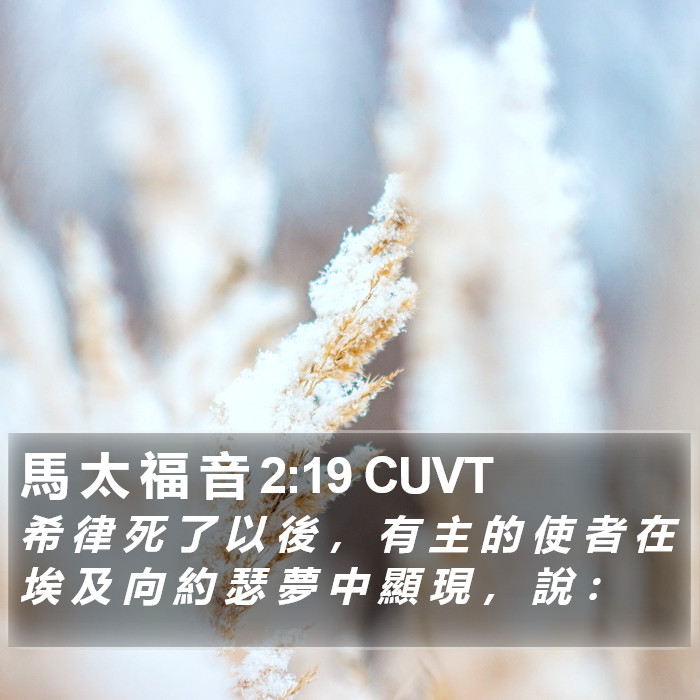 馬 太 福 音 2:19 CUVT Bible Study