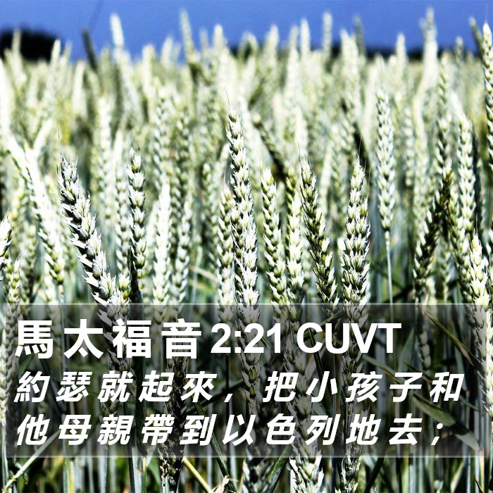 馬 太 福 音 2:21 CUVT Bible Study