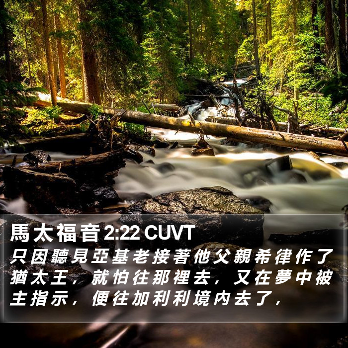 馬 太 福 音 2:22 CUVT Bible Study