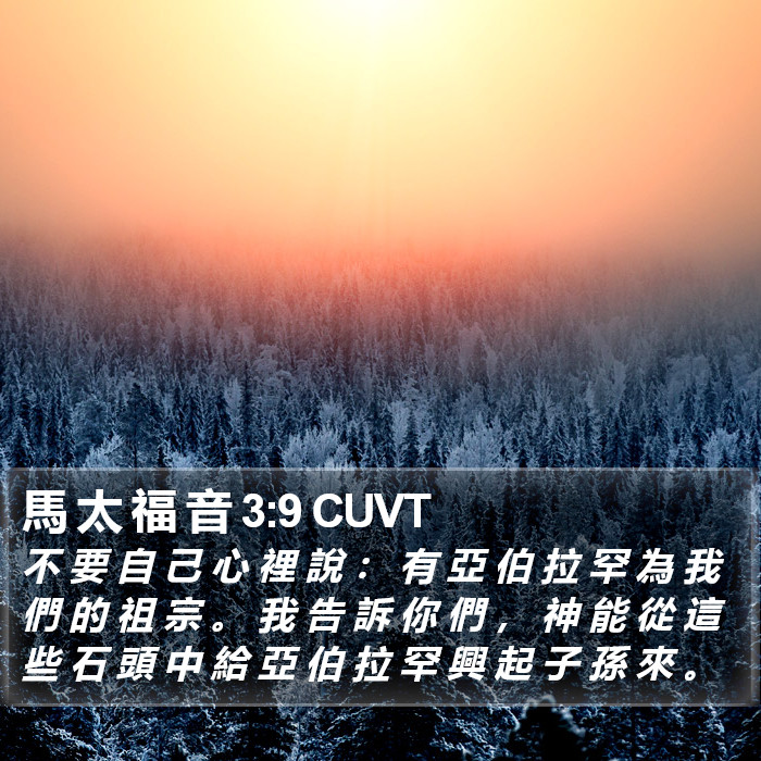 馬 太 福 音 3:9 CUVT Bible Study