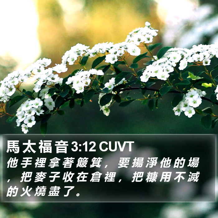 馬 太 福 音 3:12 CUVT Bible Study