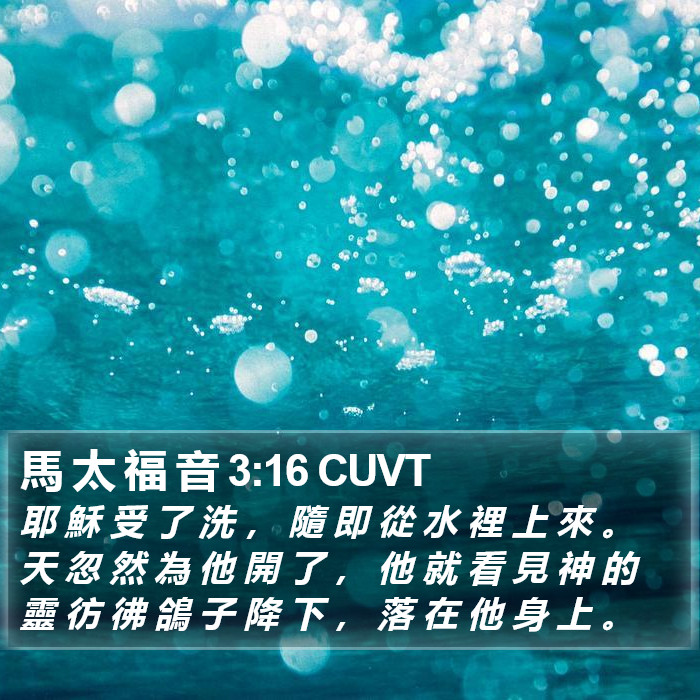 馬 太 福 音 3:16 CUVT Bible Study