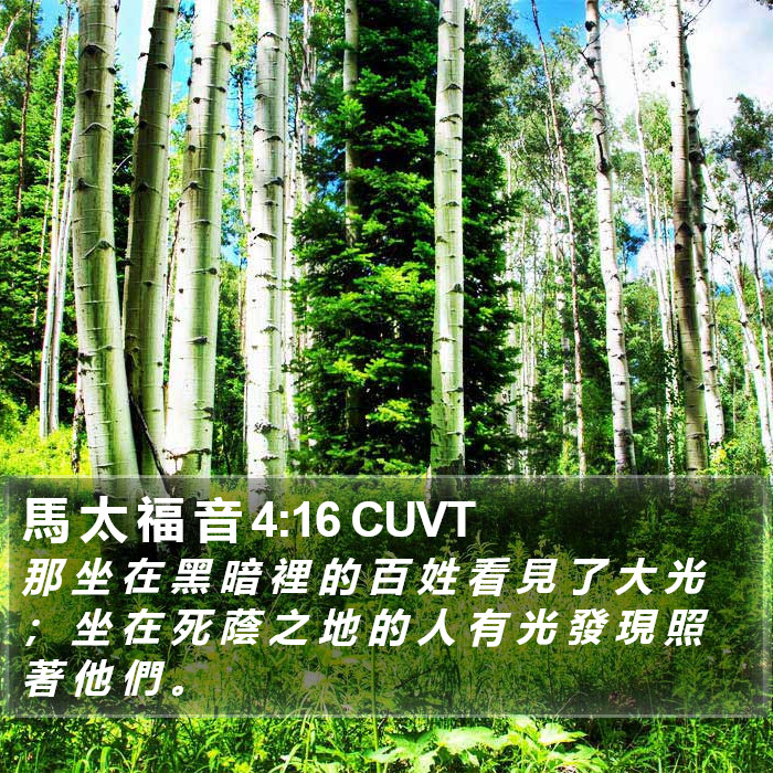 馬 太 福 音 4:16 CUVT Bible Study