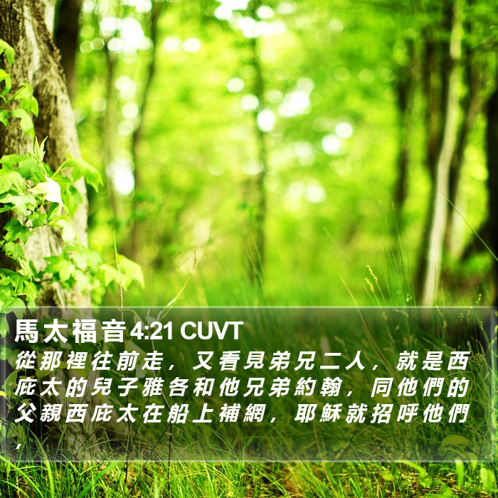 馬 太 福 音 4:21 CUVT Bible Study