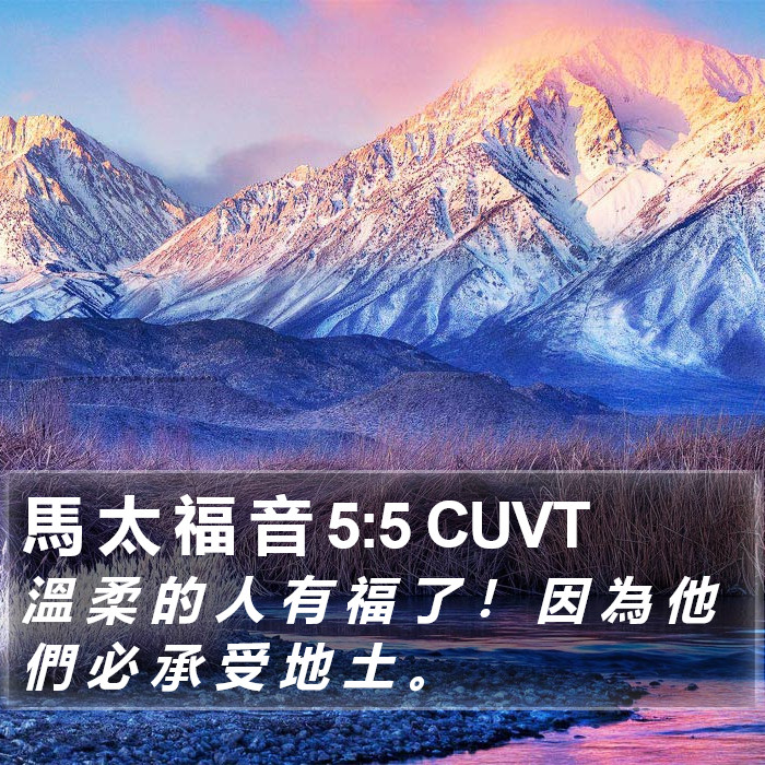 馬 太 福 音 5:5 CUVT Bible Study