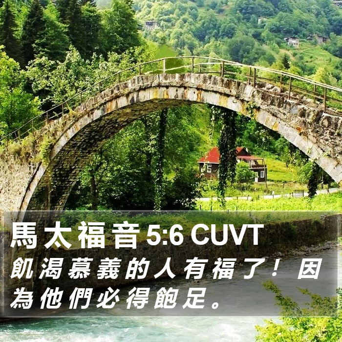 馬 太 福 音 5:6 CUVT Bible Study