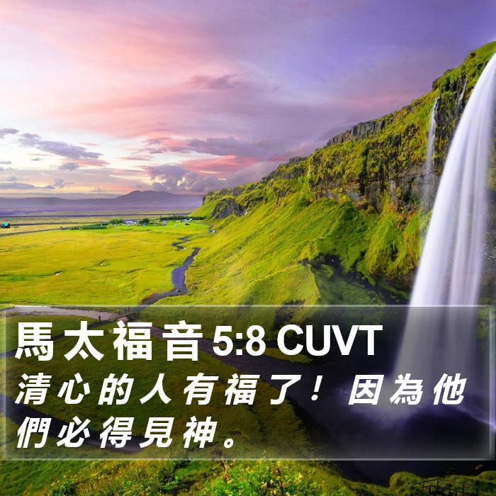 馬 太 福 音 5:8 CUVT Bible Study