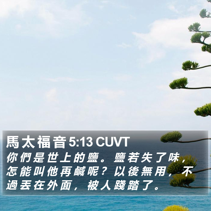 馬 太 福 音 5:13 CUVT Bible Study