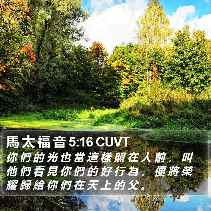 馬 太 福 音 5:16 CUVT Bible Study