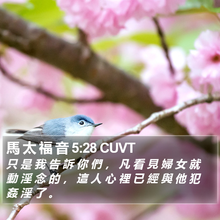 馬 太 福 音 5:28 CUVT Bible Study