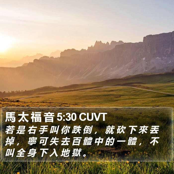 馬 太 福 音 5:30 CUVT Bible Study