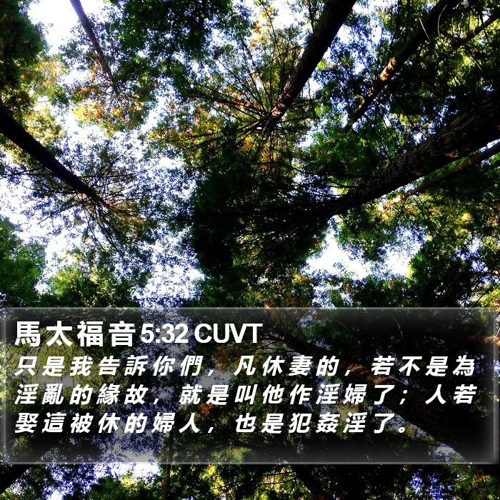 馬 太 福 音 5:32 CUVT Bible Study