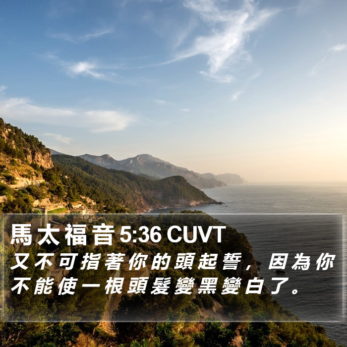 馬 太 福 音 5:36 CUVT Bible Study