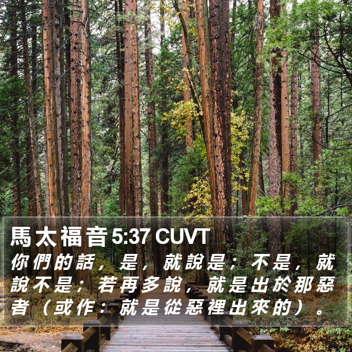 馬 太 福 音 5:37 CUVT Bible Study