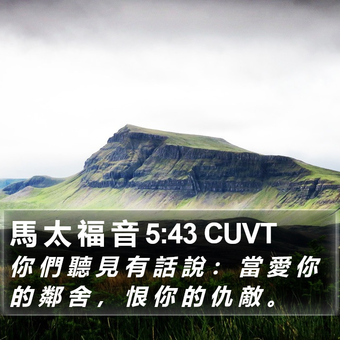 馬 太 福 音 5:43 CUVT Bible Study