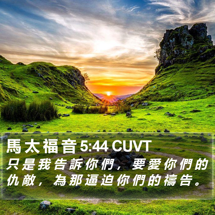 馬 太 福 音 5:44 CUVT Bible Study