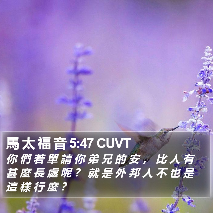 馬 太 福 音 5:47 CUVT Bible Study