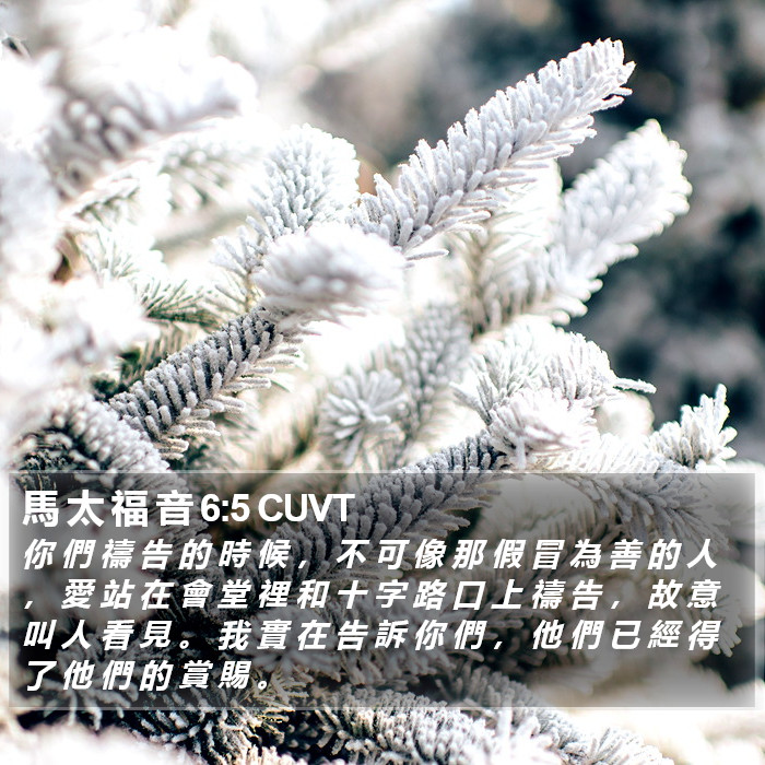 馬 太 福 音 6:5 CUVT Bible Study