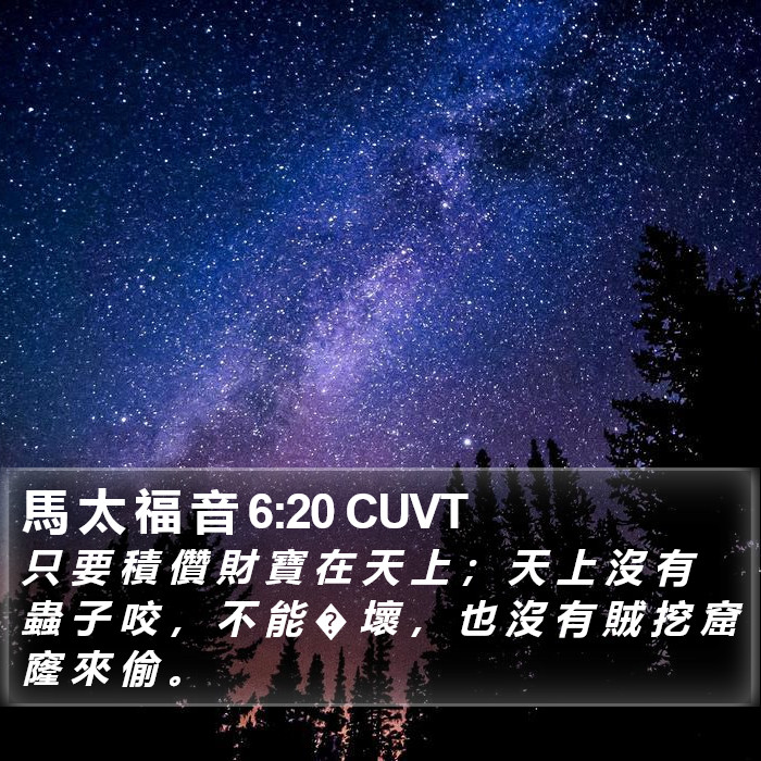 馬 太 福 音 6:20 CUVT Bible Study