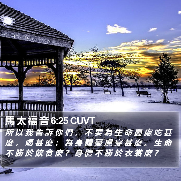馬 太 福 音 6:25 CUVT Bible Study