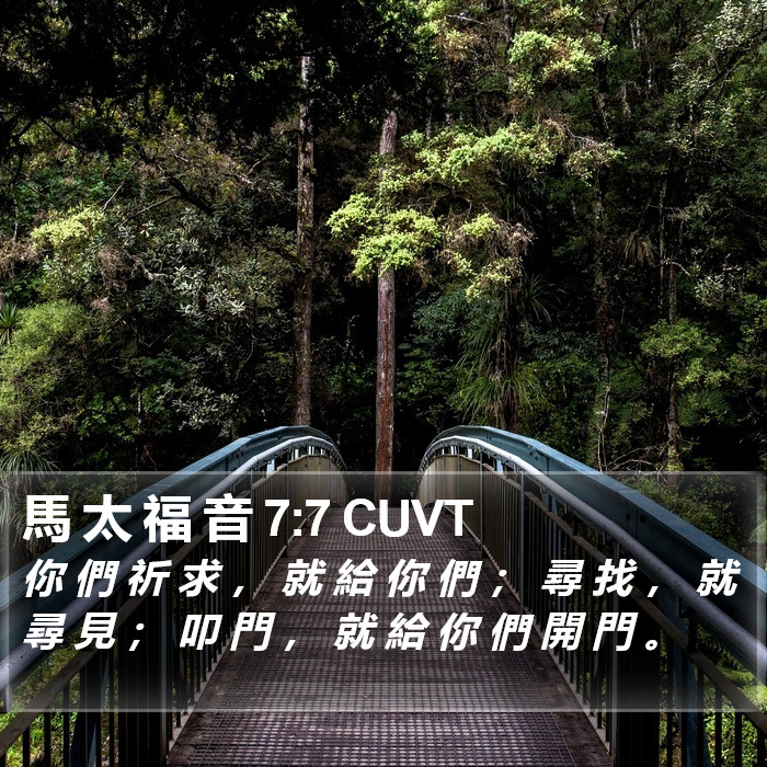 馬 太 福 音 7:7 CUVT Bible Study