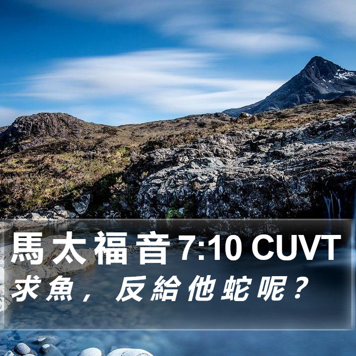馬 太 福 音 7:10 CUVT Bible Study