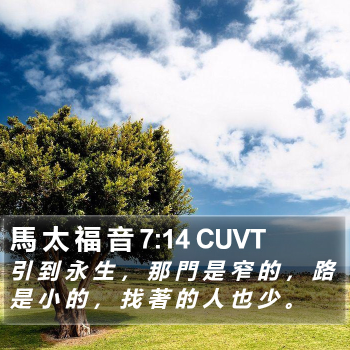 馬 太 福 音 7:14 CUVT Bible Study