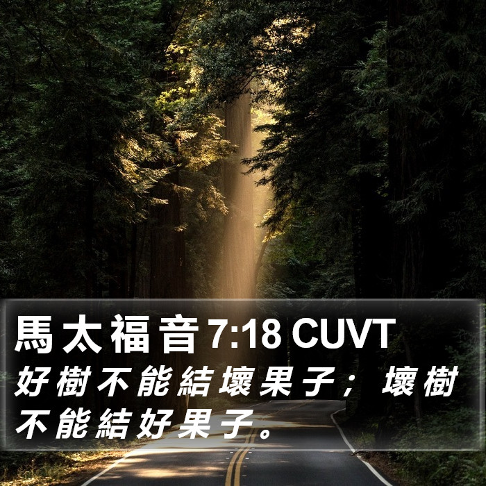 馬 太 福 音 7:18 CUVT Bible Study