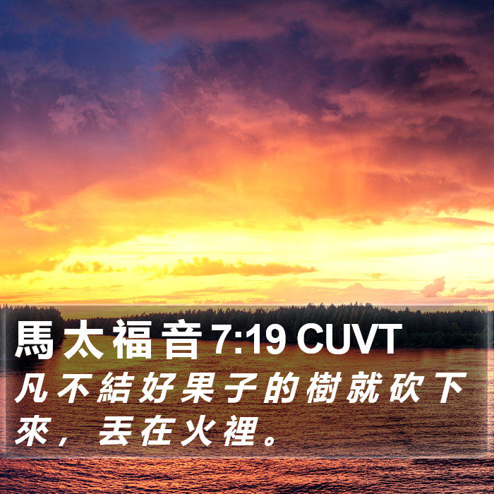 馬 太 福 音 7:19 CUVT Bible Study