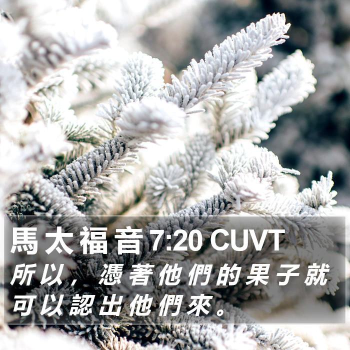 馬 太 福 音 7:20 CUVT Bible Study