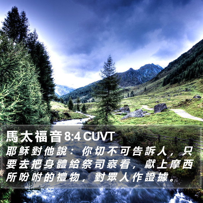 馬 太 福 音 8:4 CUVT Bible Study