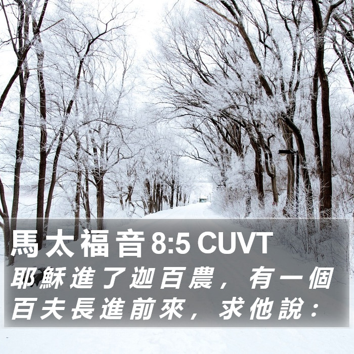 馬 太 福 音 8:5 CUVT Bible Study