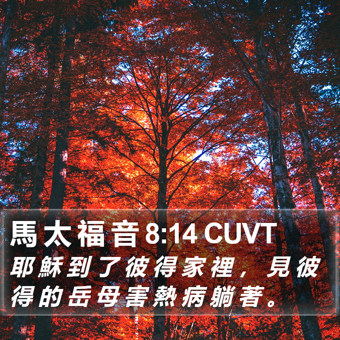 馬 太 福 音 8:14 CUVT Bible Study