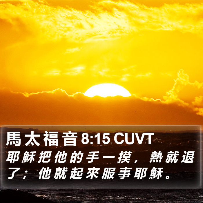 馬 太 福 音 8:15 CUVT Bible Study