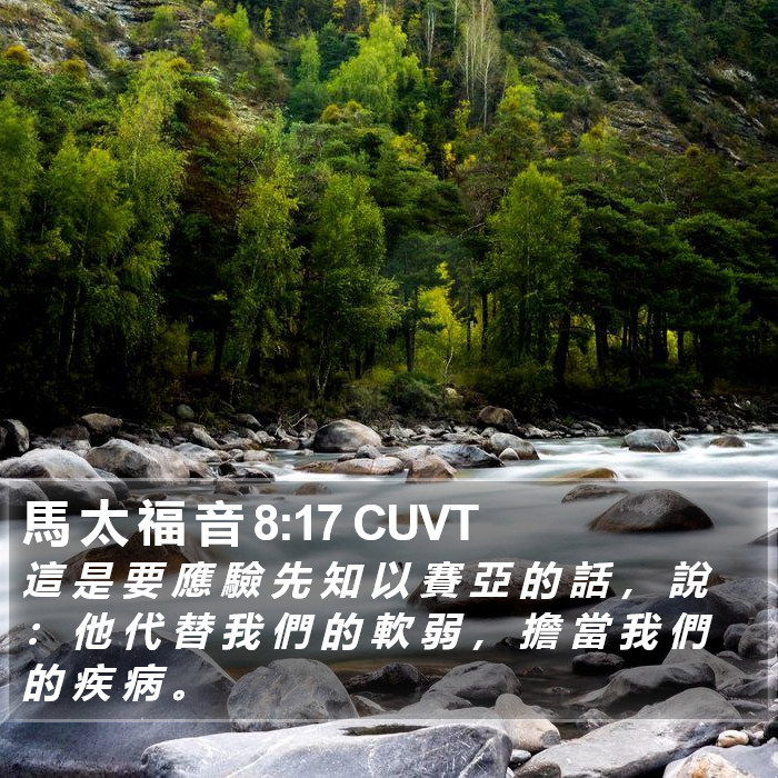 馬 太 福 音 8:17 CUVT Bible Study
