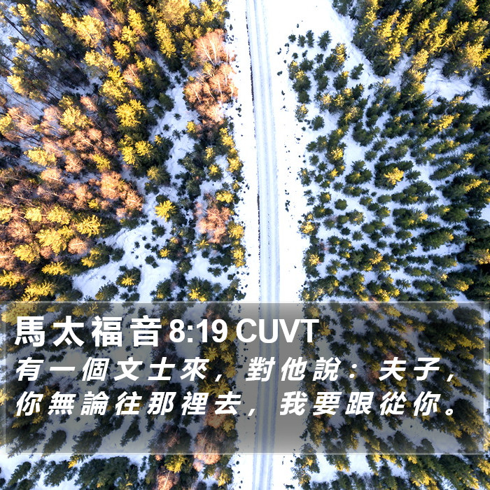 馬 太 福 音 8:19 CUVT Bible Study
