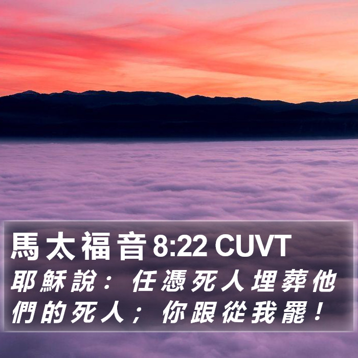 馬 太 福 音 8:22 CUVT Bible Study