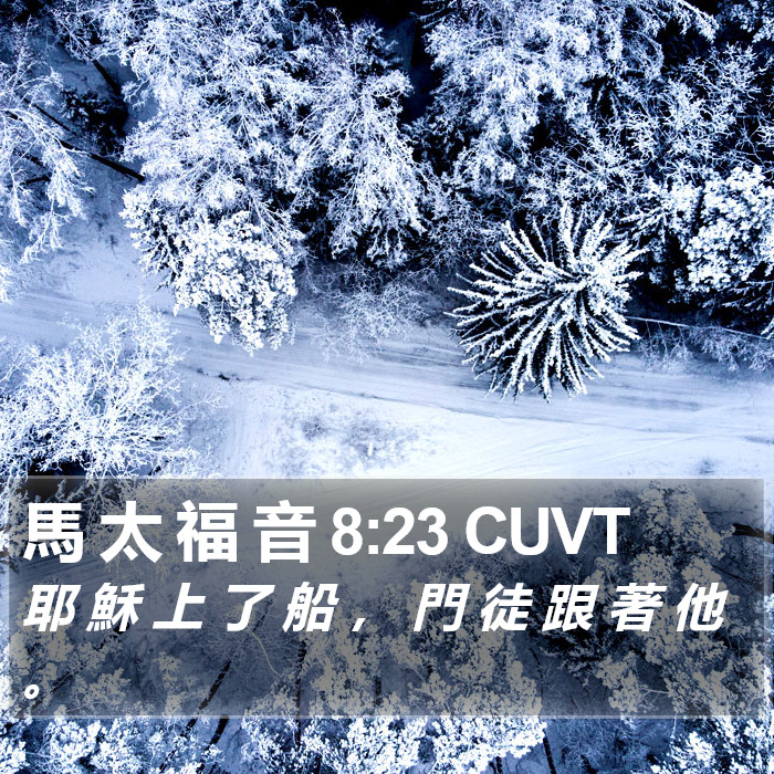 馬 太 福 音 8:23 CUVT Bible Study