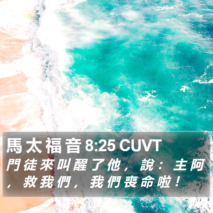 馬 太 福 音 8:25 CUVT Bible Study