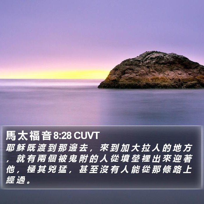 馬 太 福 音 8:28 CUVT Bible Study