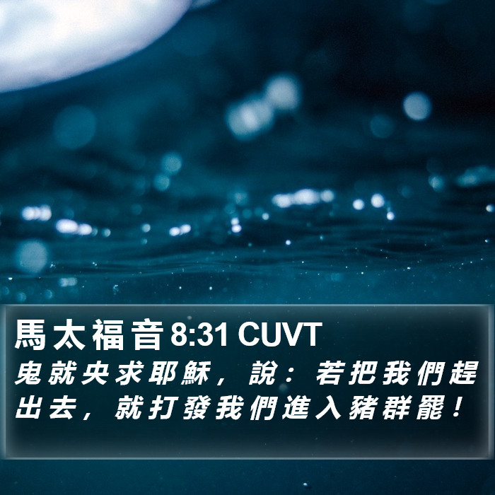 馬 太 福 音 8:31 CUVT Bible Study