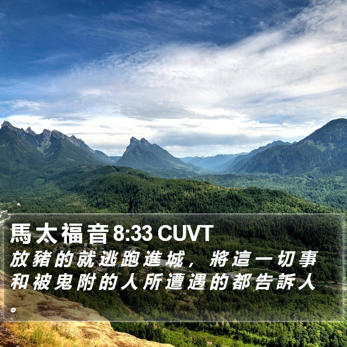 馬 太 福 音 8:33 CUVT Bible Study