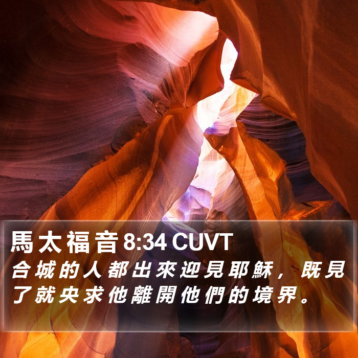 馬 太 福 音 8:34 CUVT Bible Study