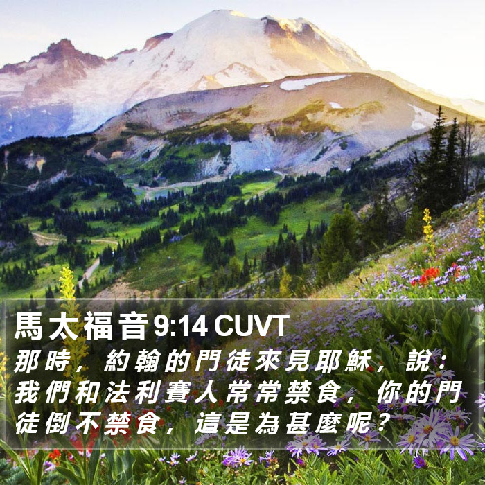 馬 太 福 音 9:14 CUVT Bible Study