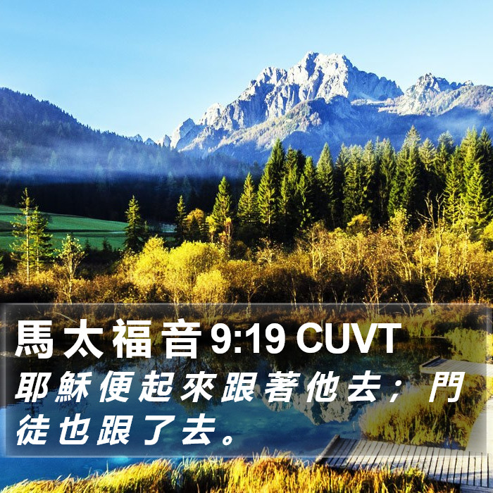 馬 太 福 音 9:19 CUVT Bible Study