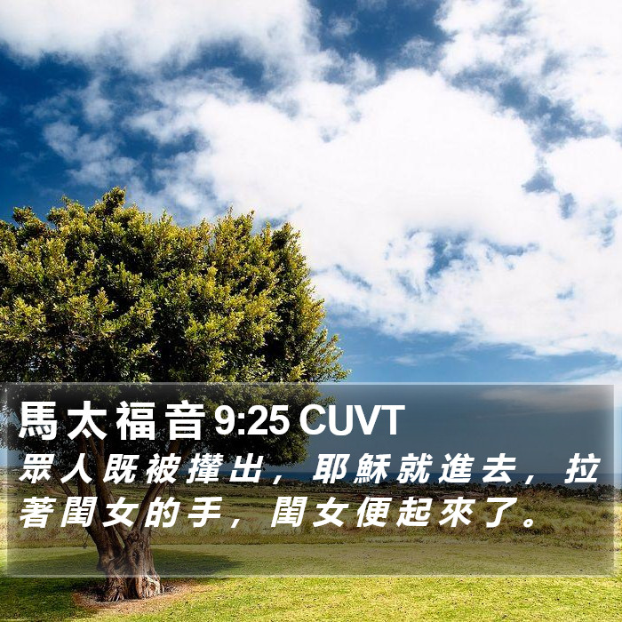 馬 太 福 音 9:25 CUVT Bible Study