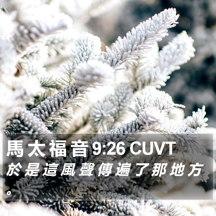 馬 太 福 音 9:26 CUVT Bible Study