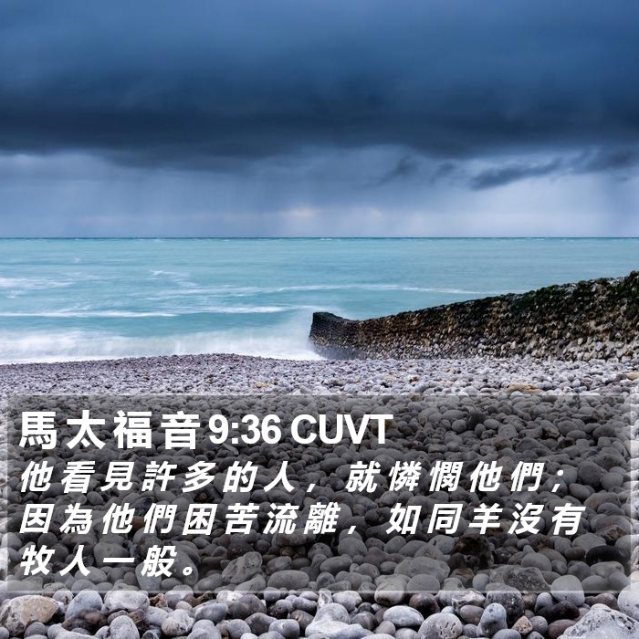 馬 太 福 音 9:36 CUVT Bible Study